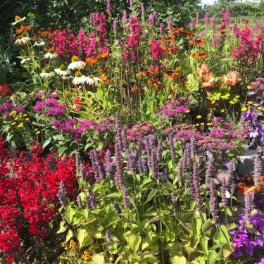 Heerlijke bloemenborder