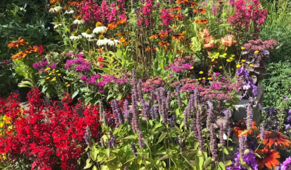 Heerlijke bloemenborder