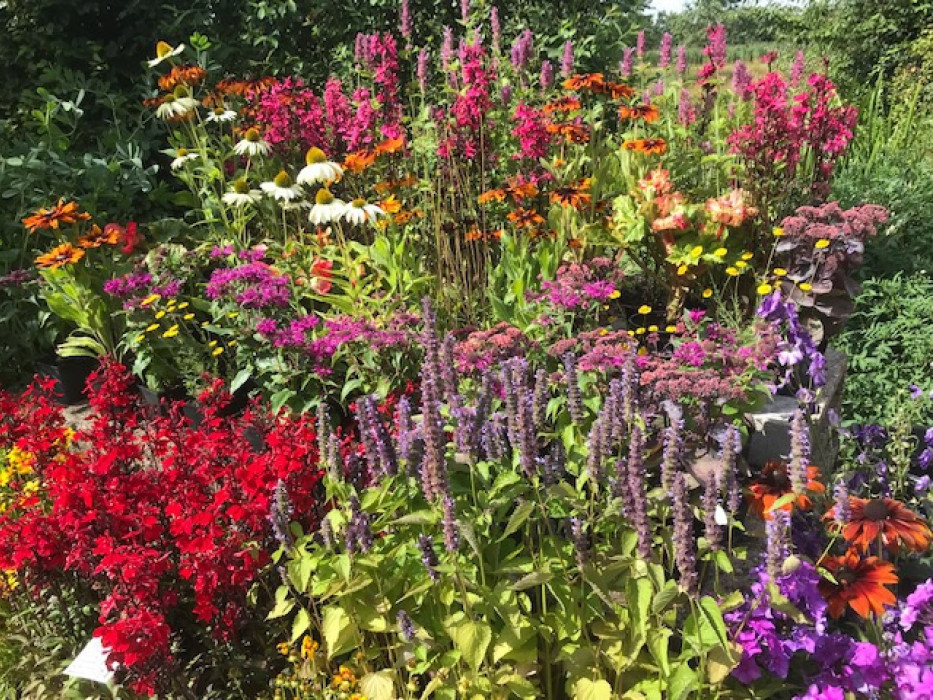Heerlijke bloemenborder