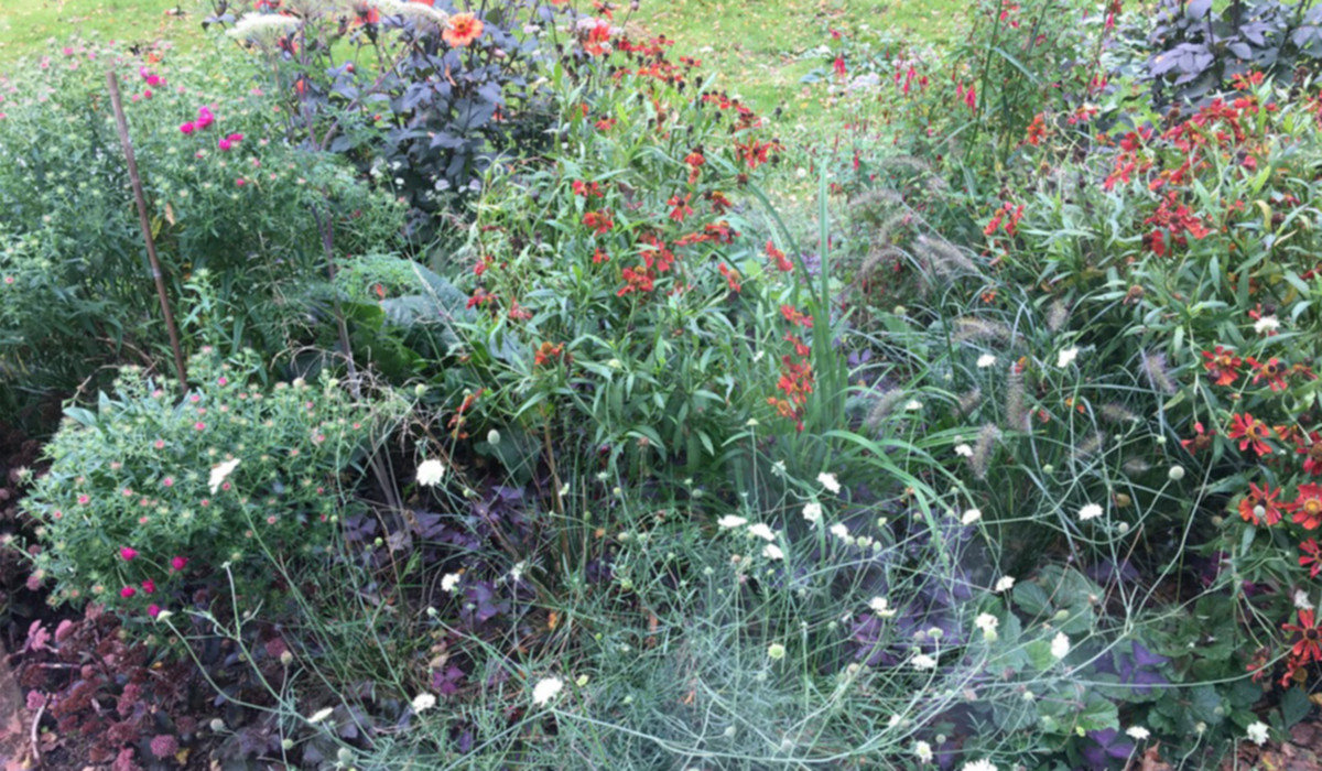 Bloemenborder friesland